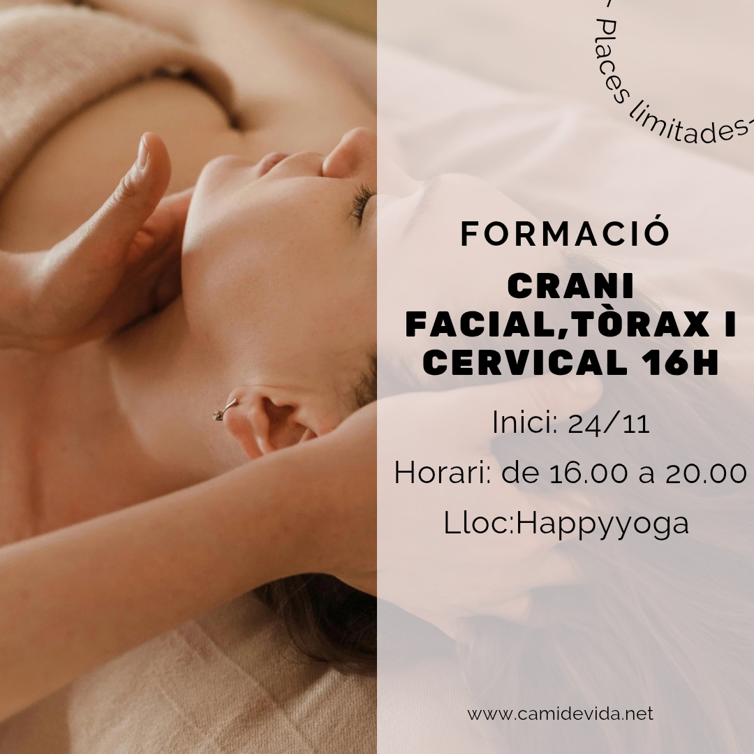 Curs de massatge craniofacial, cervical i toràx a Girona, de 16.00 a 20.00 h