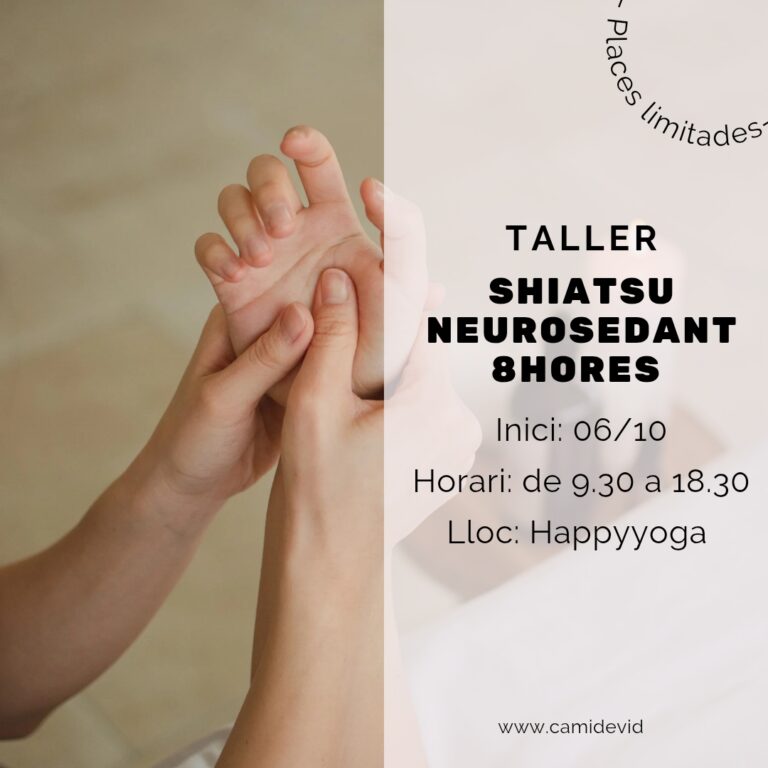 Taller de Shiatsu Neurosedant de 8 hores a Girona a l’octubre